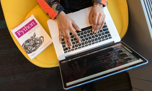 Software developers